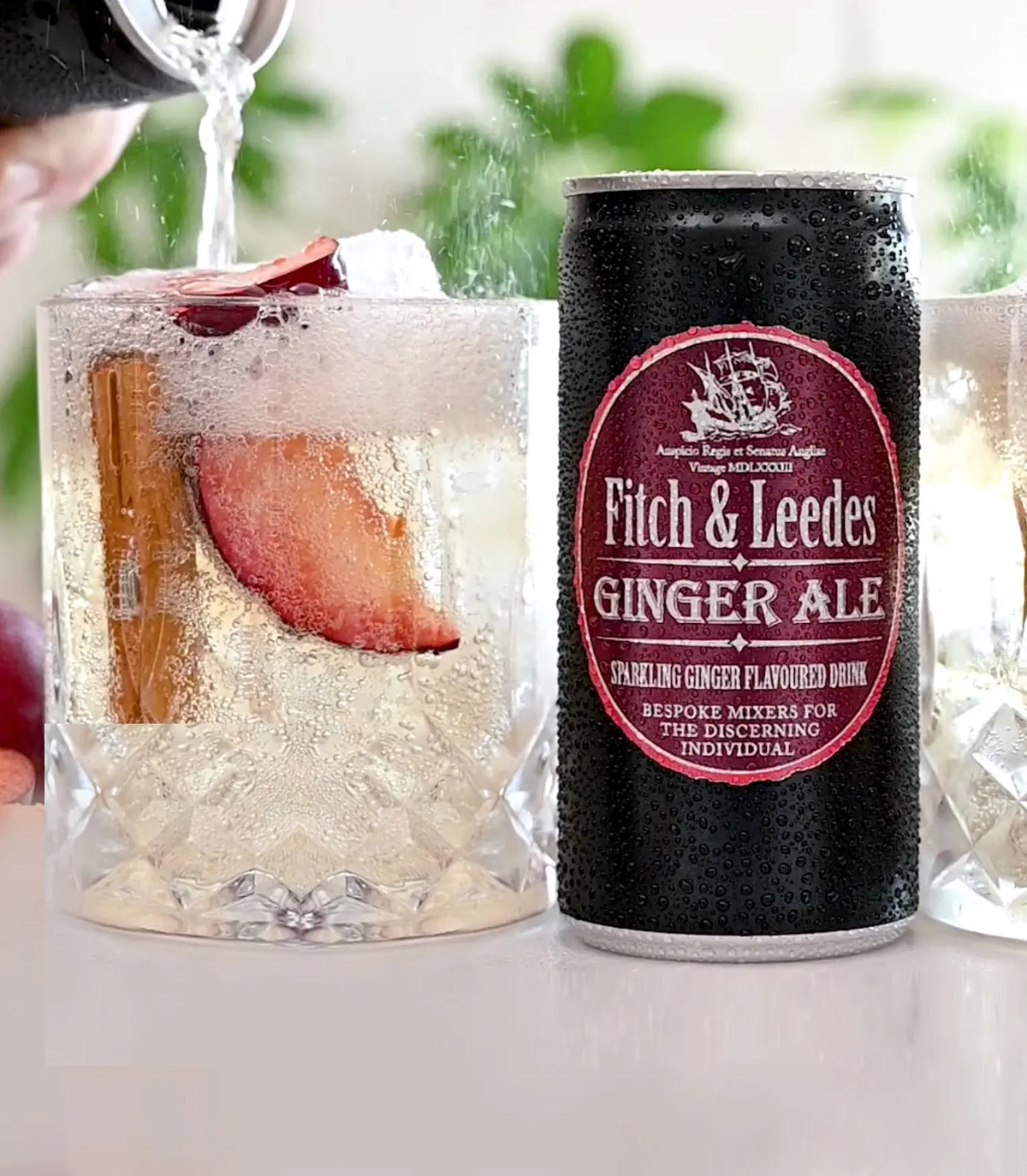 Fitch & Leedes Ginger Ale